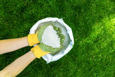 Fertilizing Your Lawn!