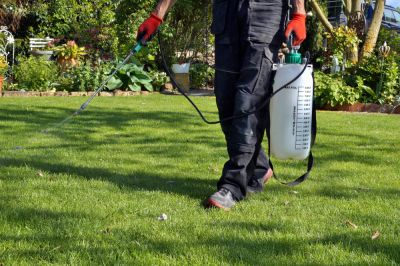 Weed Control for Your Lawn!